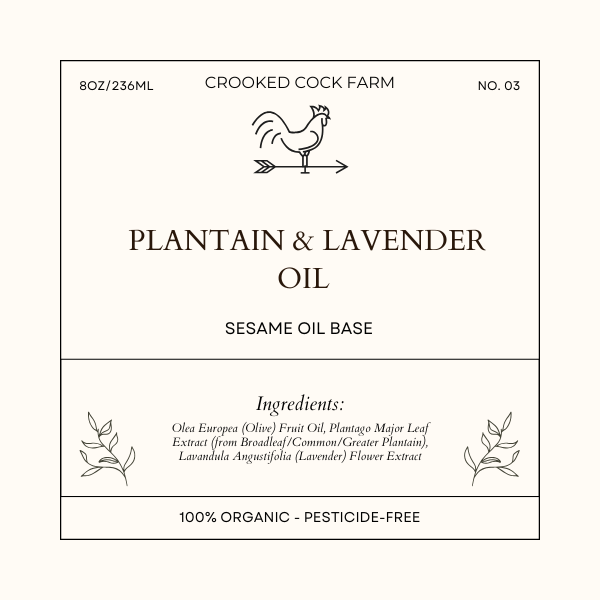 Plantain & Lavender Infused Oil
