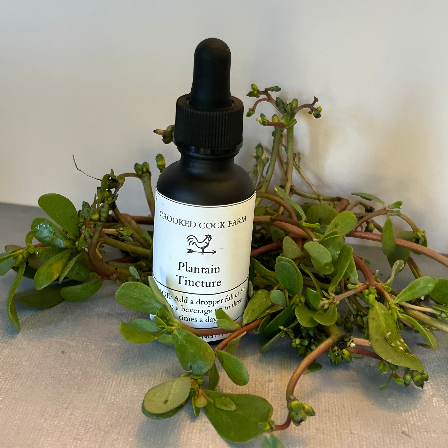 Purslane Tincture