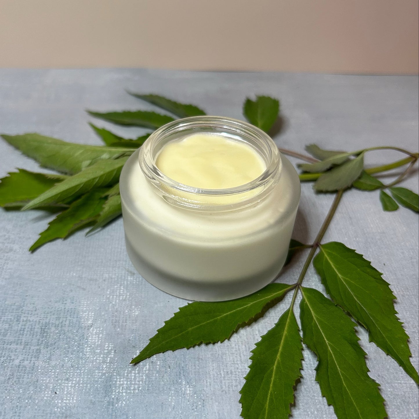 Elderberry Renewal Lotion