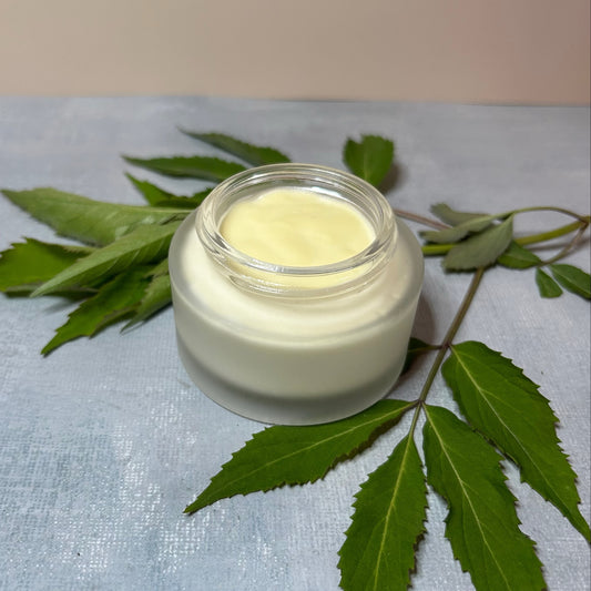 Elderberry Renewal Lotion