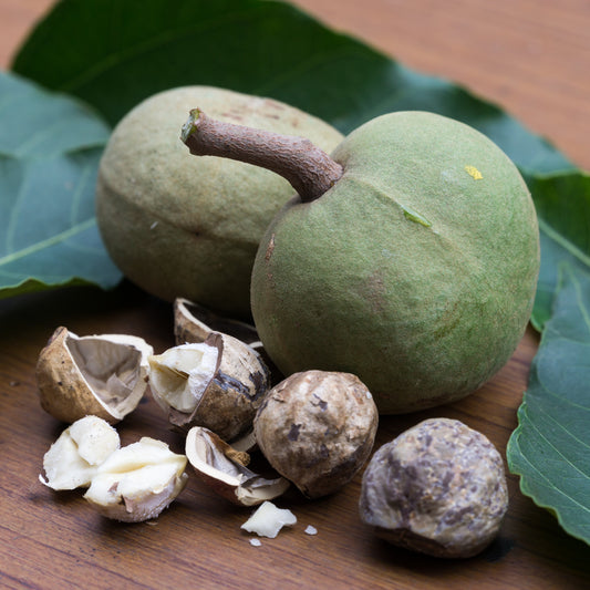 Kukui Nut Oil